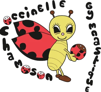Logo FSG Chamoson